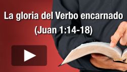 La gloria del Verbo encarnado (Juan 1:14-18)

