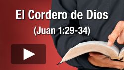 El Cordero de Dios que quita el pecado del mundo (Juan 1:29-34)
