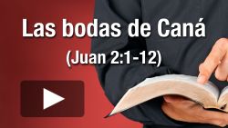 Las bodas de Caná de Galilea (Juan 2:1-12)
