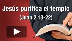 Jesús purifica el templo (Juan 2:13-22)
