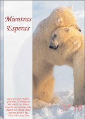 Mientras esperas Nº 10