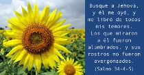 Imagen que acompaña el texto del versículo bíblico