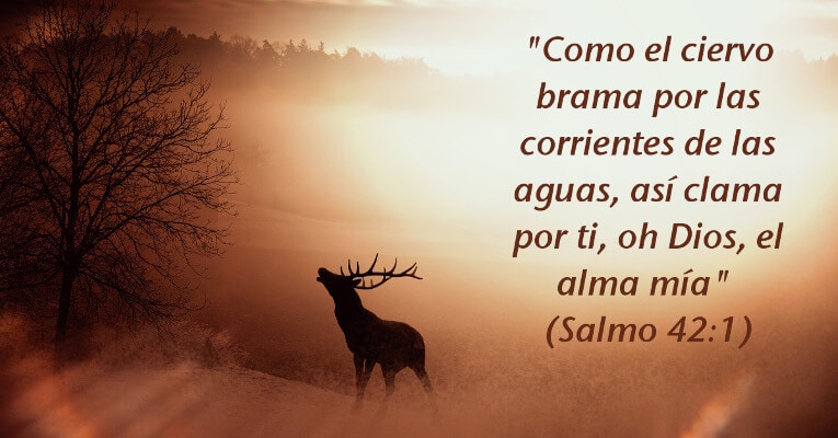 Como el ciervo brama por las corrientes de las aguas, Así clama por ti, oh Dios, el alma mía. (Sal 42:1)