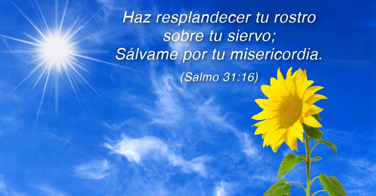 Haz resplandecer tu rostro sobre tu siervo; sálvame por tu misericordia. (Sal 31:16)