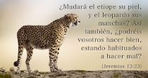 Imagen que acompaña el texto del versículo bíblico