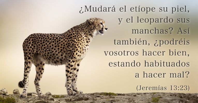 ¿Mudará el etíope su piel, y el leopardo sus manchas? Así también, ¿podréis vosotros hacer bien, estando habituados a hacer mal? (Jer 13:23)