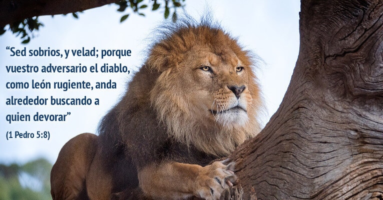 Sed sobrios, y velad; porque vuestro adversario el diablo, como león rugiente, anda alrededor buscando a quien devorar (1 P 5:8)